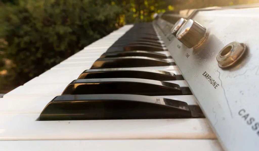 electronic keyboard positioned outside in the garden